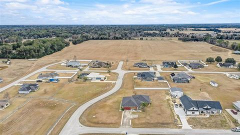 A home in BELLEVIEW