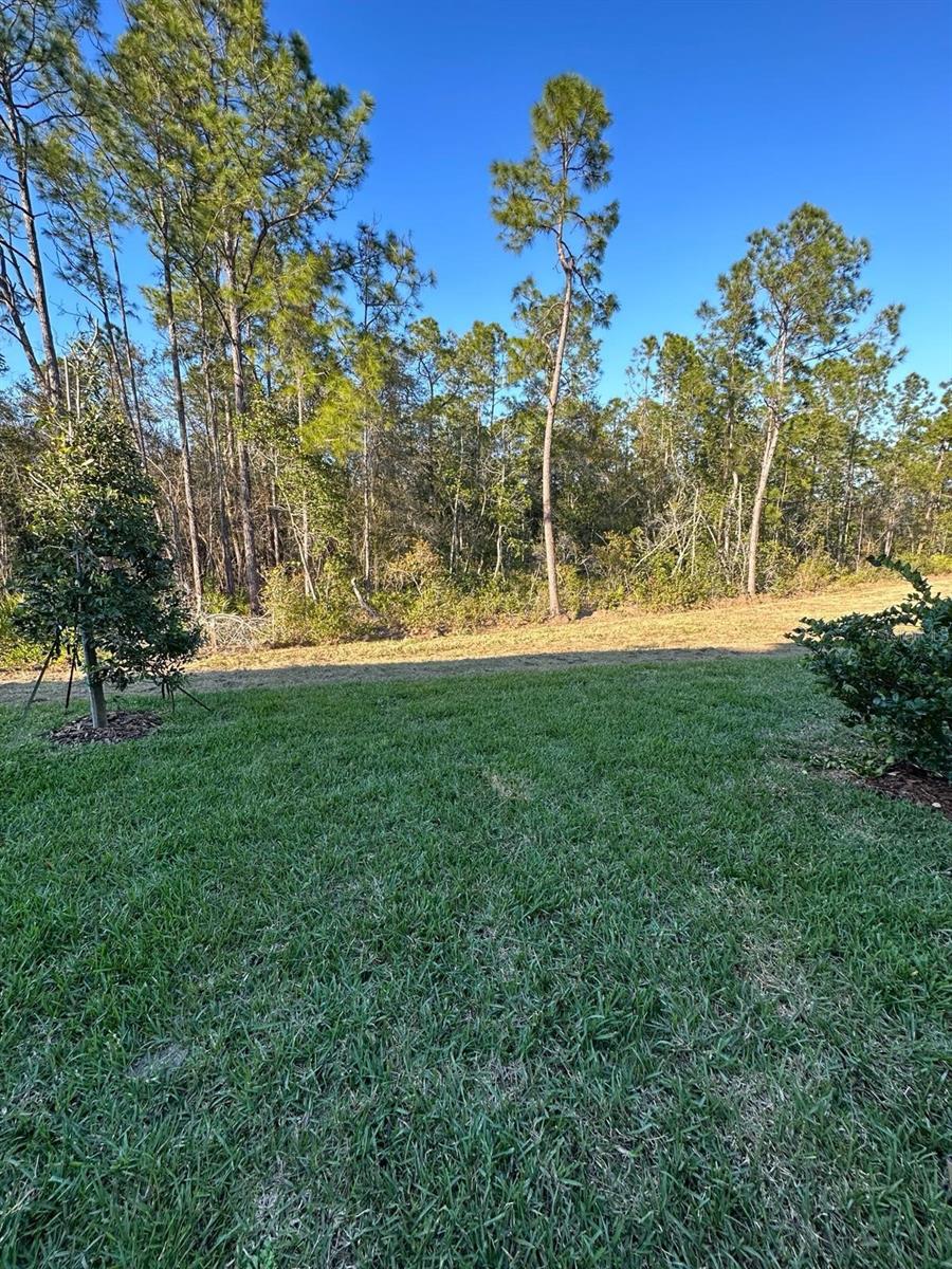 REEDY RESERVE PH 3 - Residential