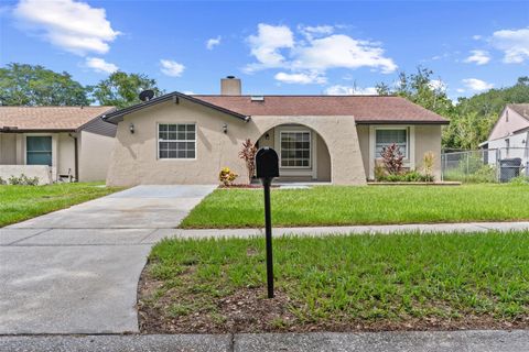 A home in TAMPA