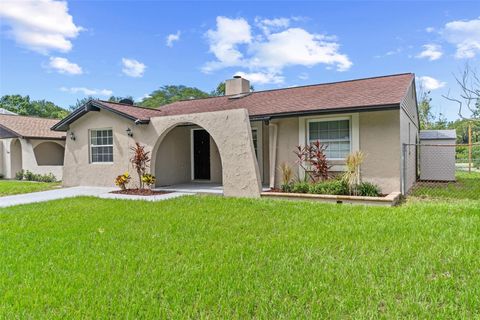 A home in TAMPA