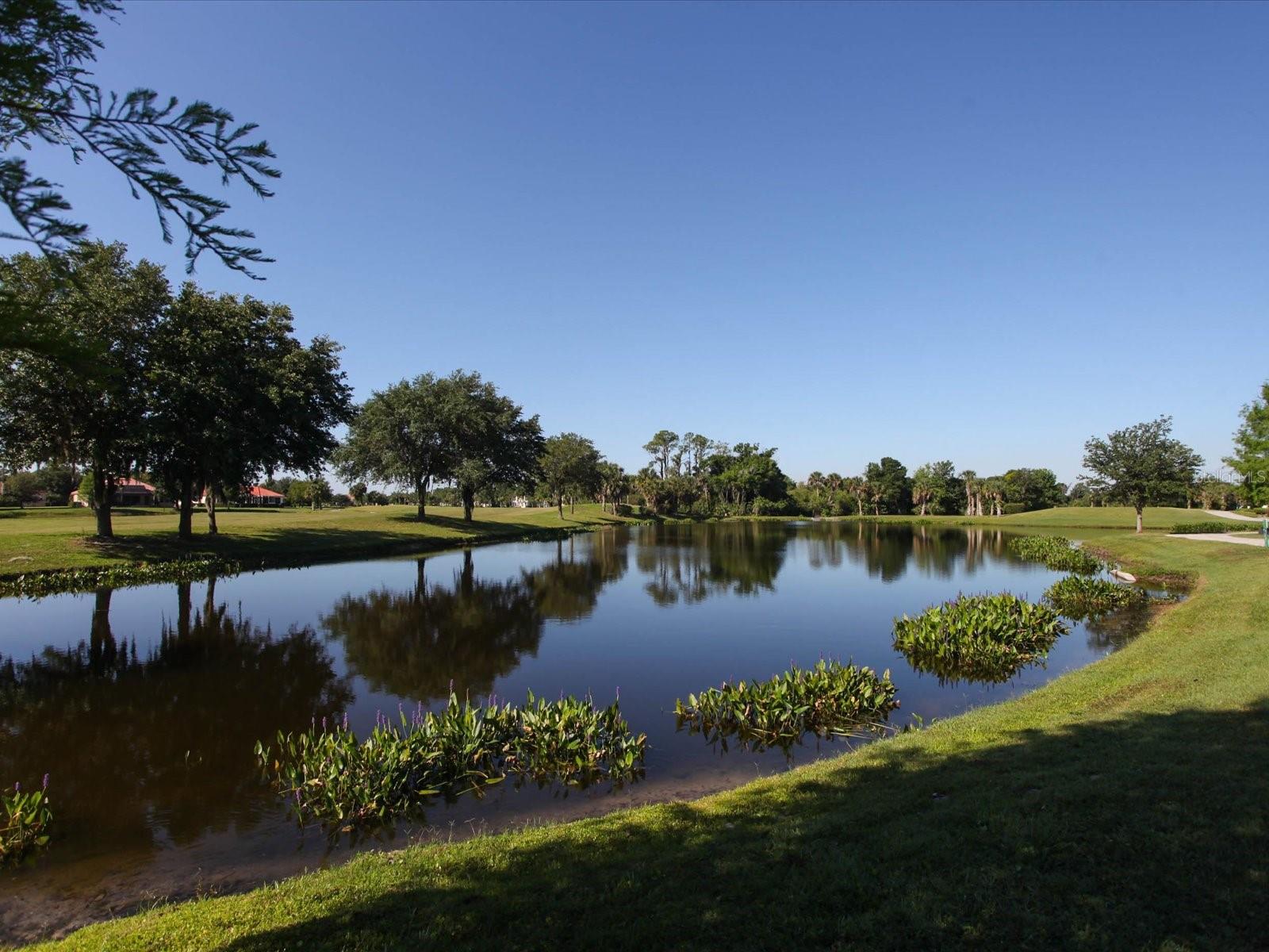 CEDAR HOLLOW AT TARA CONDO #1731580609 - Residential