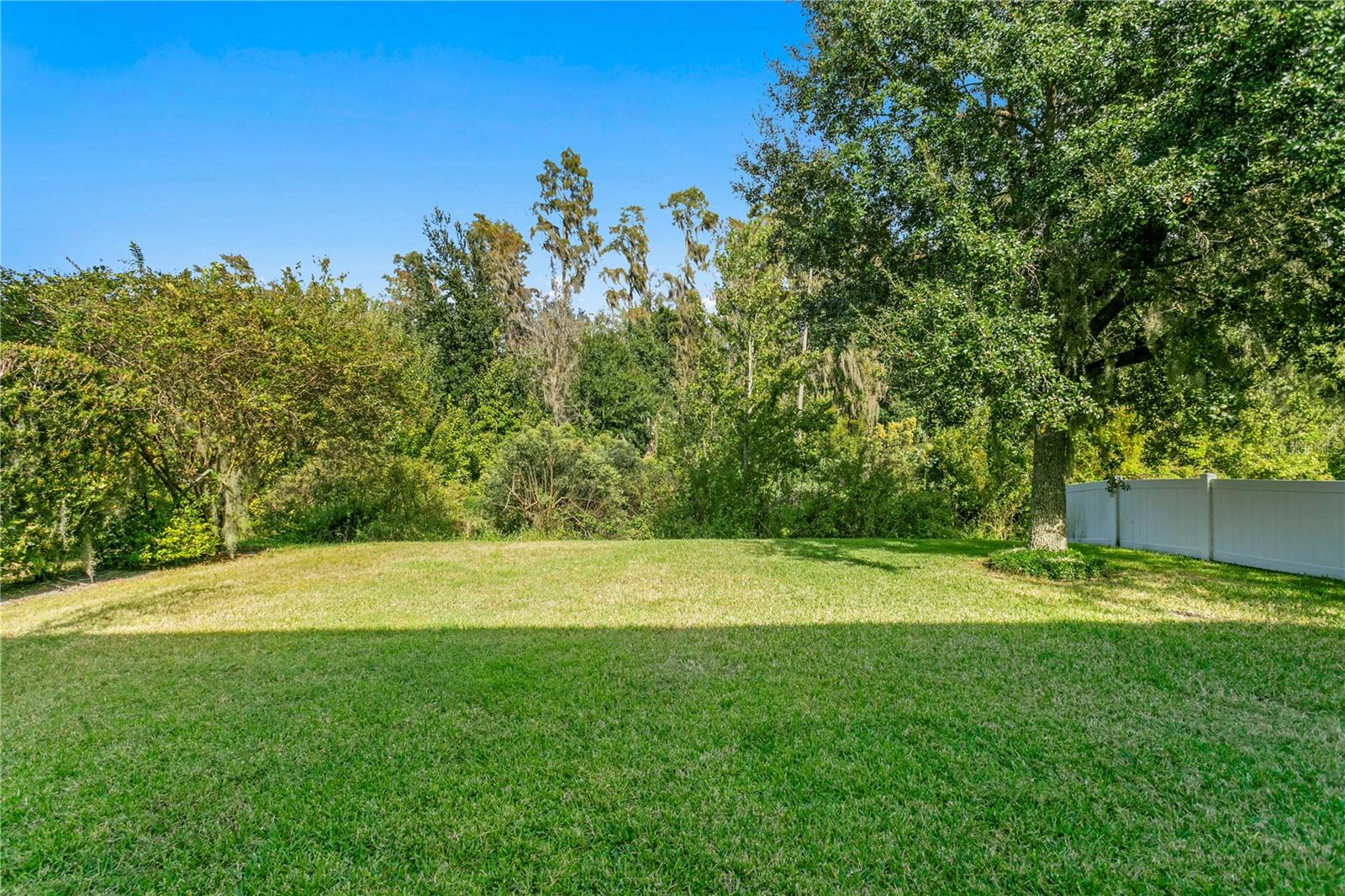 BASSET CREEK ESTATES PH 2A - Residential