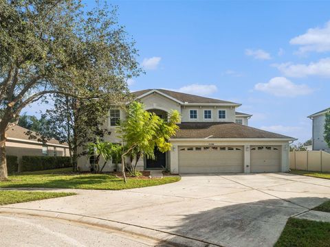 A home in LAND O LAKES