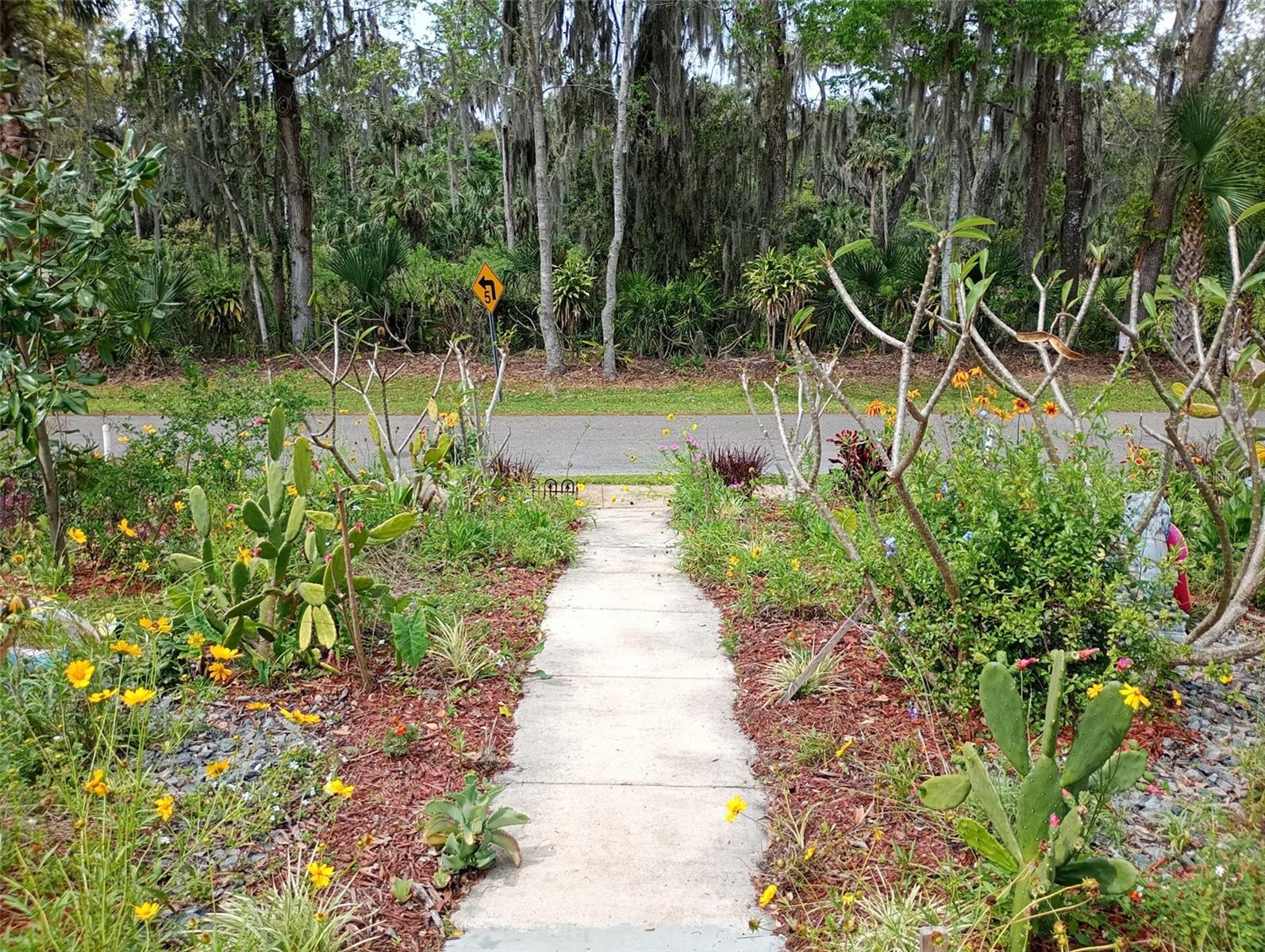 109 FERN DRIVE