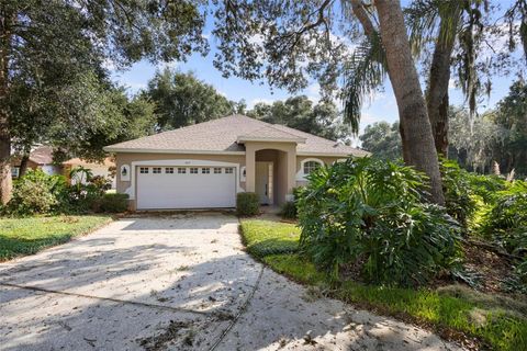 A home in ORANGE CITY