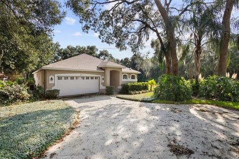 A home in ORANGE CITY