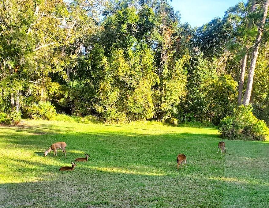 RIVER COUNTRY ESTATES - Residential