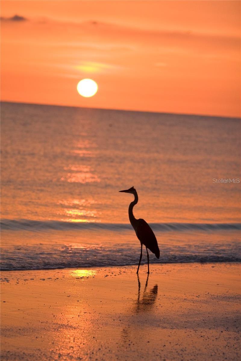 BAY ISLAND GROUP NO. 13 - Residential