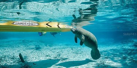 Tiny photo for 1750 W Westford Path, Hernando, FL 34442 (MLS # W7883558)