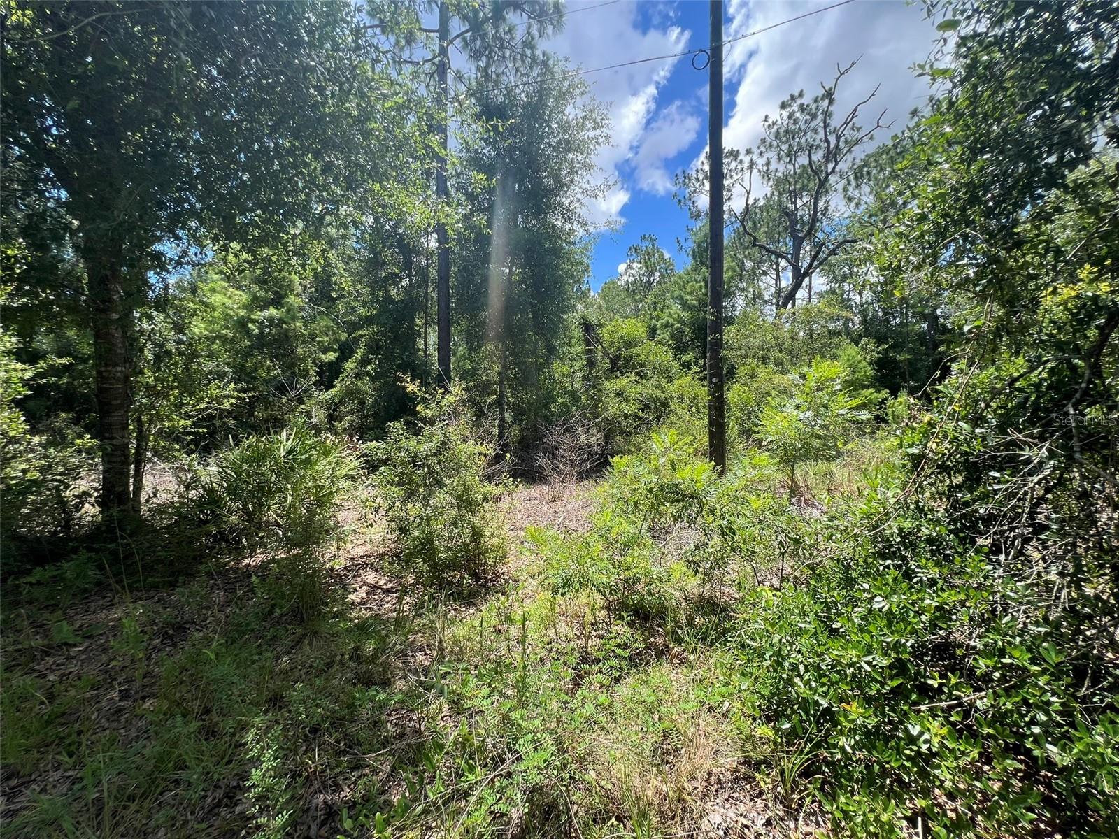 FOREST PARK HILLS - Land