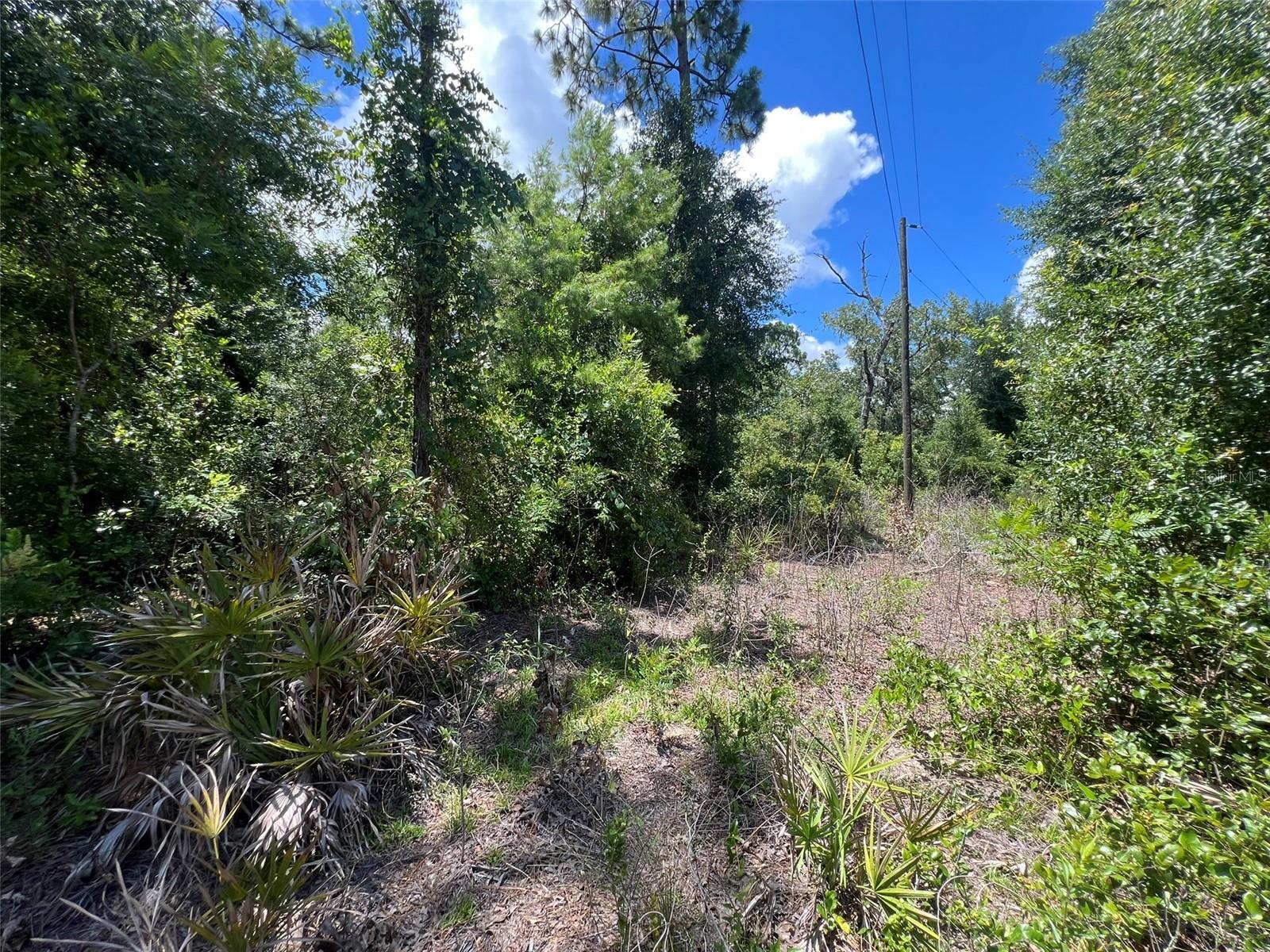 FOREST PARK HILLS - Land