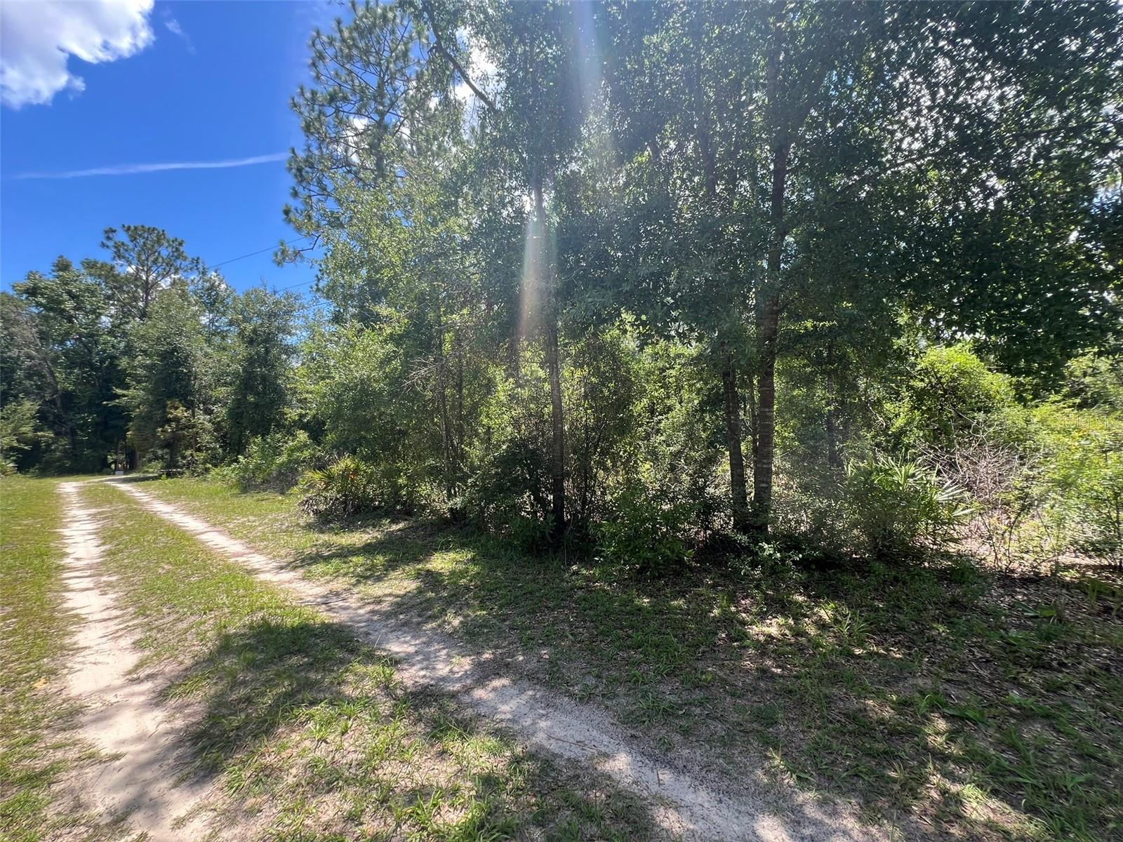 FOREST PARK HILLS - Land