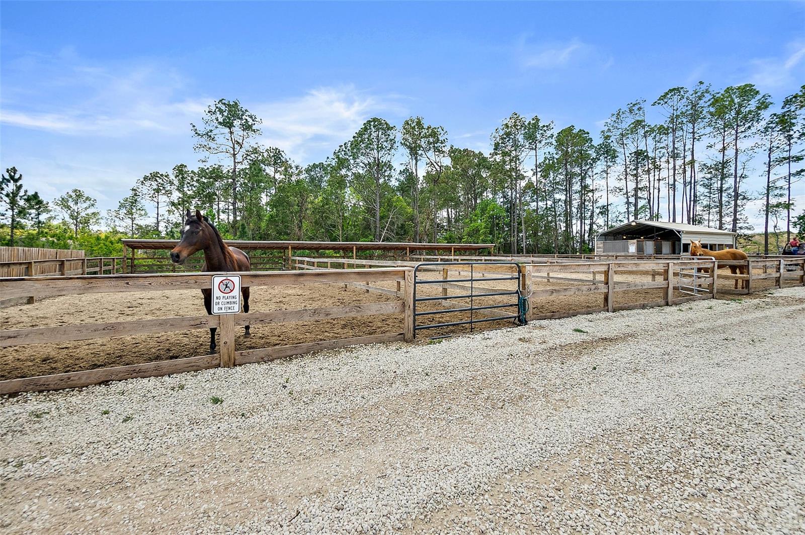 ST JOHNS DEV COMPANYS - Commercial Sale