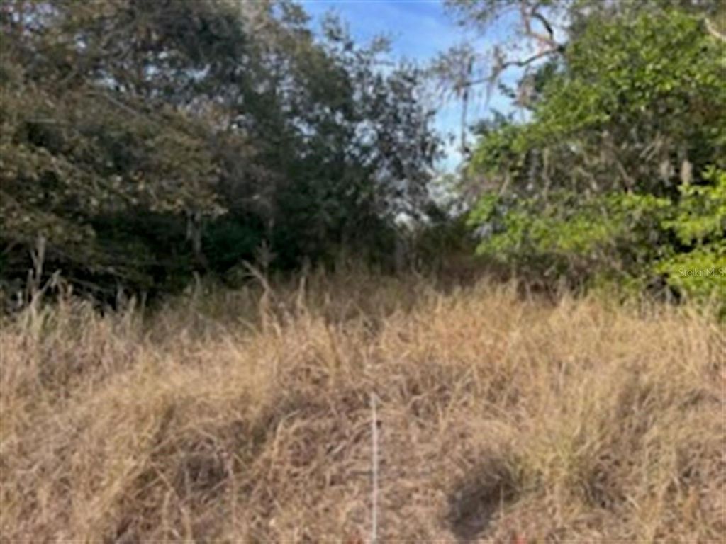 Photo of Sunset Trail, Babson Park, FL 33827 (MLS # K4903210)