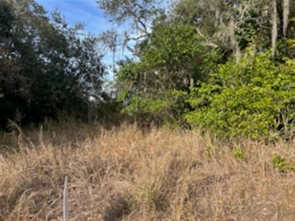 Photo of Sunset Trail, Babson Park, FL 33827 (MLS # K4903210)