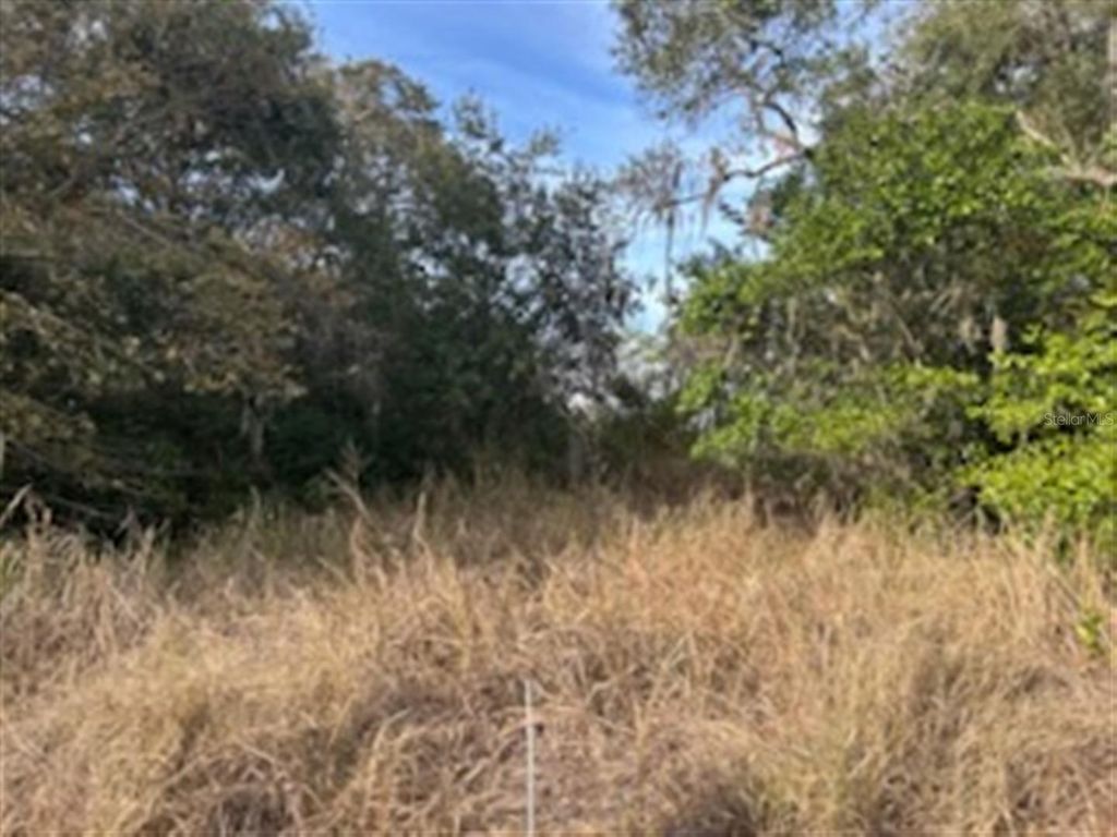 Photo of Sunset Trail, Babson Park, FL 33827 (MLS # K4903210)