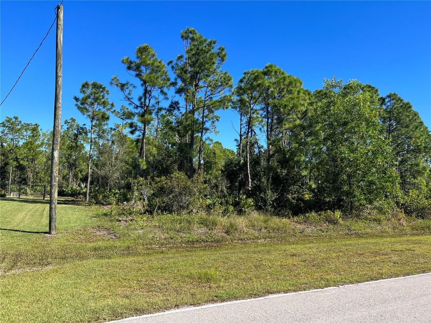 Great Location. Electric in front of the lotGood area and these lots are in a good location. Electric Lines is behind lots. Tropical Gulf Acres is close to Highway, shopping, restaurants and alot of new construction going on around this lot.
