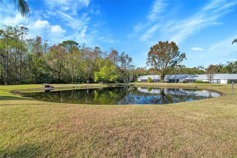 A home in TARPON SPRINGS