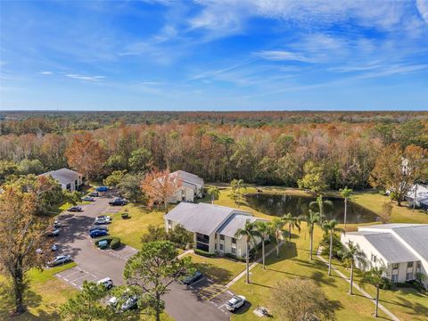 A home in TARPON SPRINGS