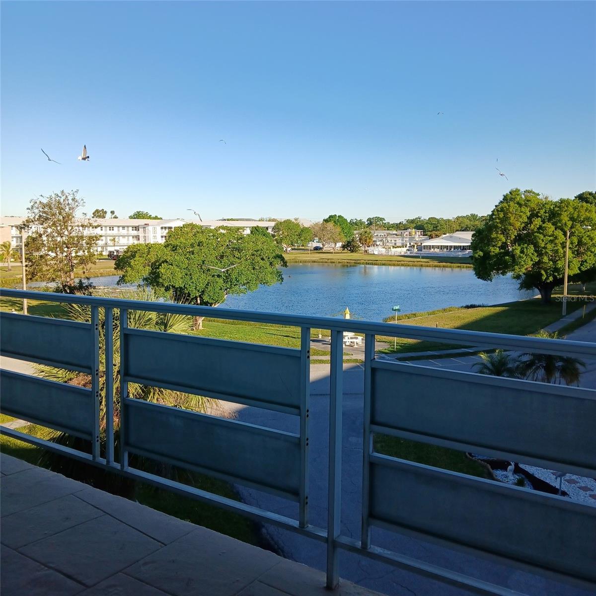 TOWN APTS CONDO - Residential