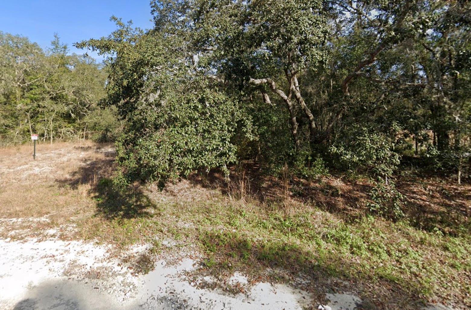This vacant residential lot is located in the tranquil town of Webster, FL. Well over an acre this lot is in a rural neighborhood which presents the perfect opportunity to build your dream home. Easy access to major highways, shops, schools, and other amenities. Surrounded by nature and peaceful atmosphere. You don't want to miss out on the chance to build in the heart of Webster, FL.