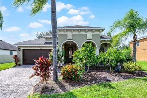Photo of 1560 Canopy Pasture Drive, Saint Cloud, FL 34771 (MLS # O6341180)