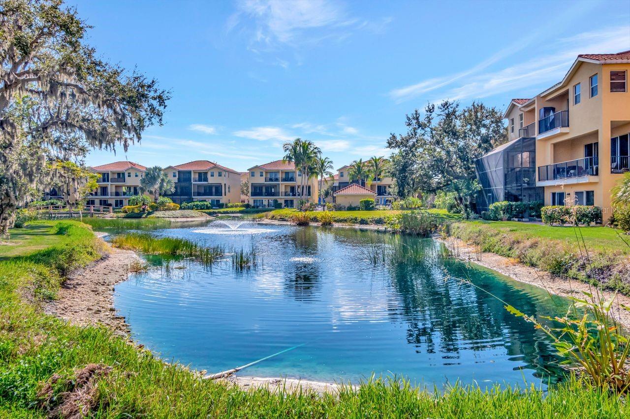 HAMMOCKS AT RIVIERA DUNES - Residential