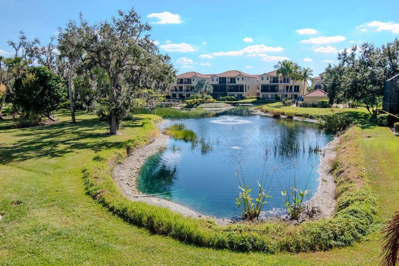 HAMMOCKS AT RIVIERA DUNES - Residential