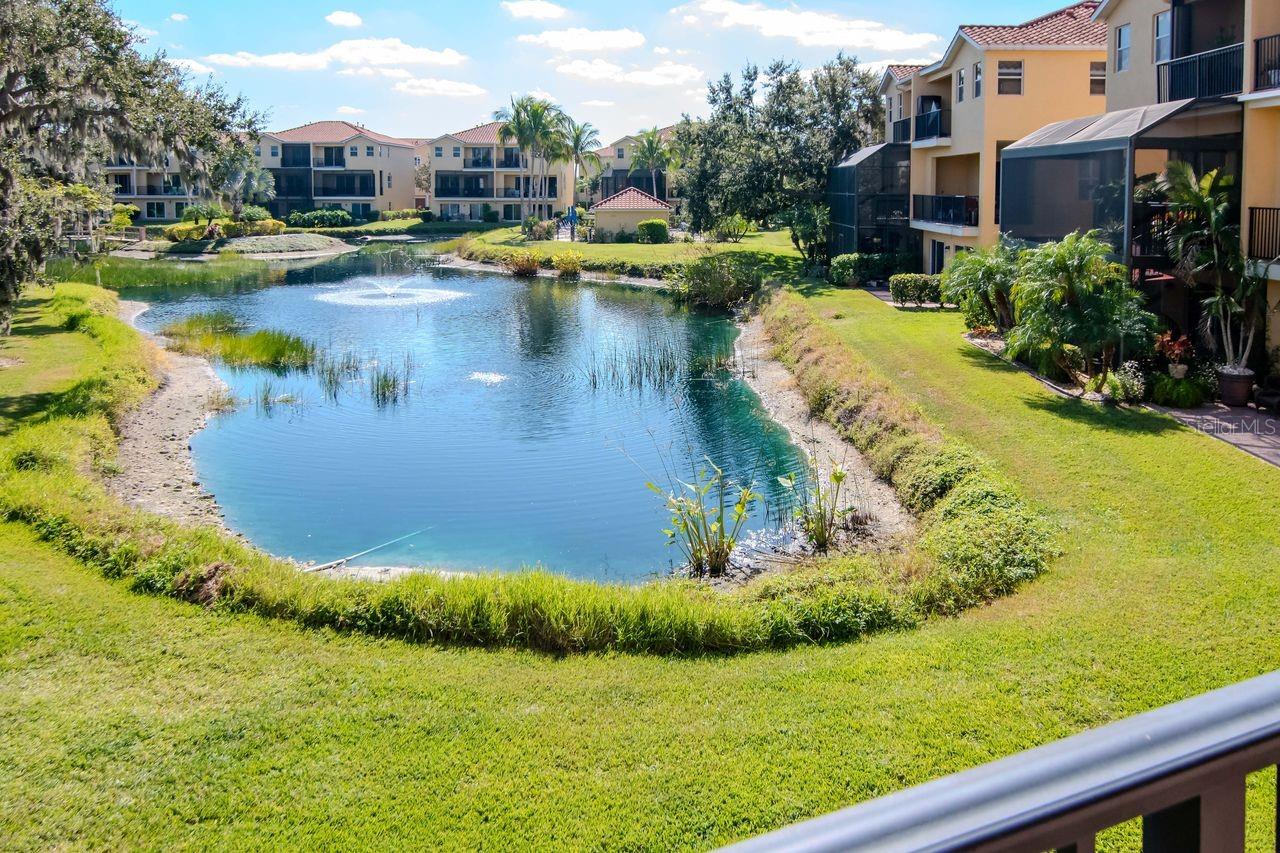 HAMMOCKS AT RIVIERA DUNES - Residential