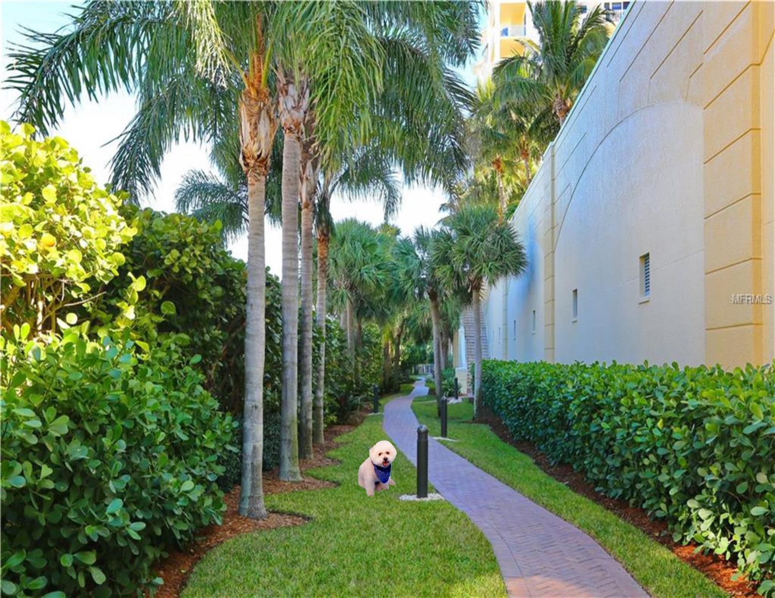 ORCHID BEACH CLUB - Residential