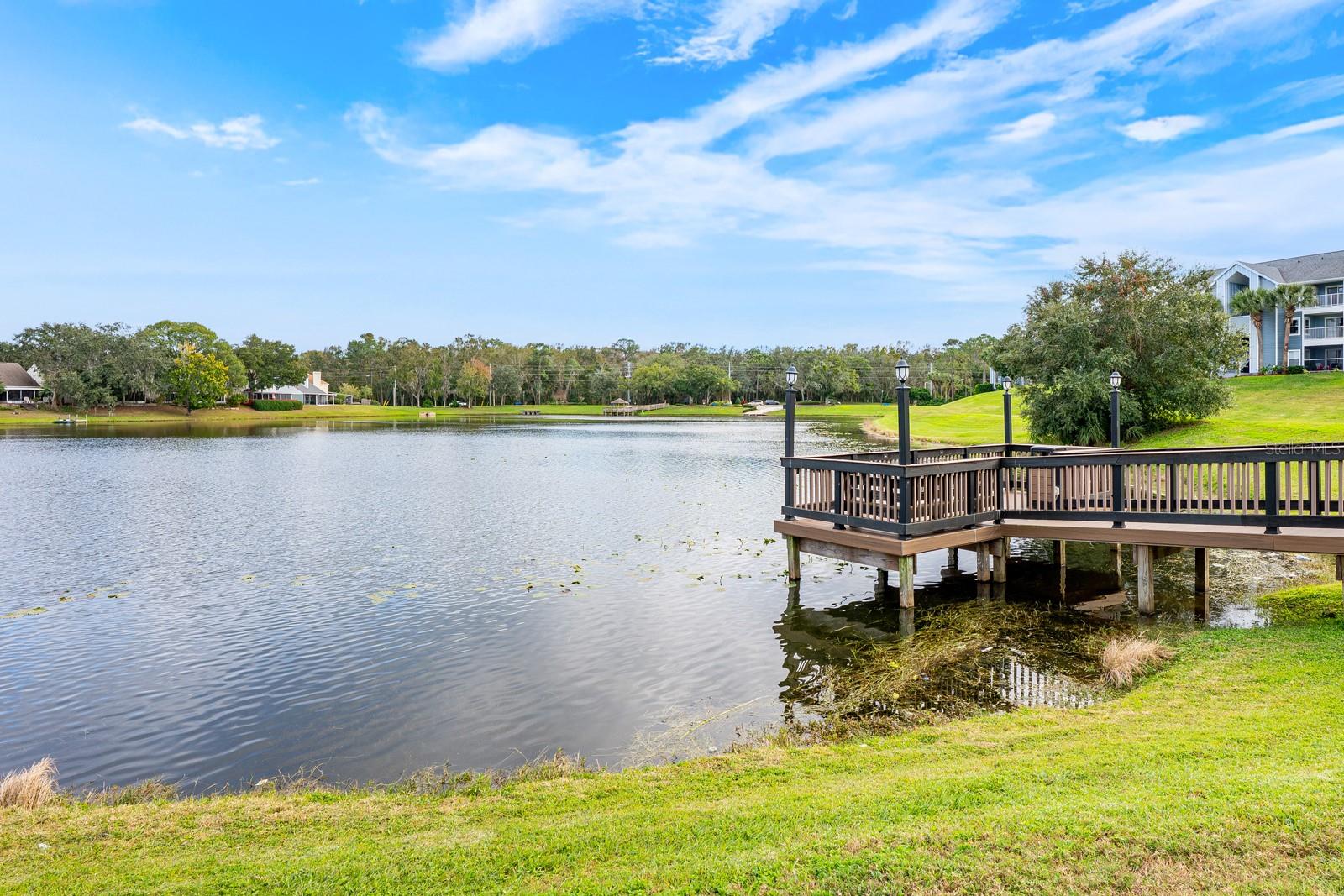 REGENCY PARK AT LAKE MARY A CONDO - Residential