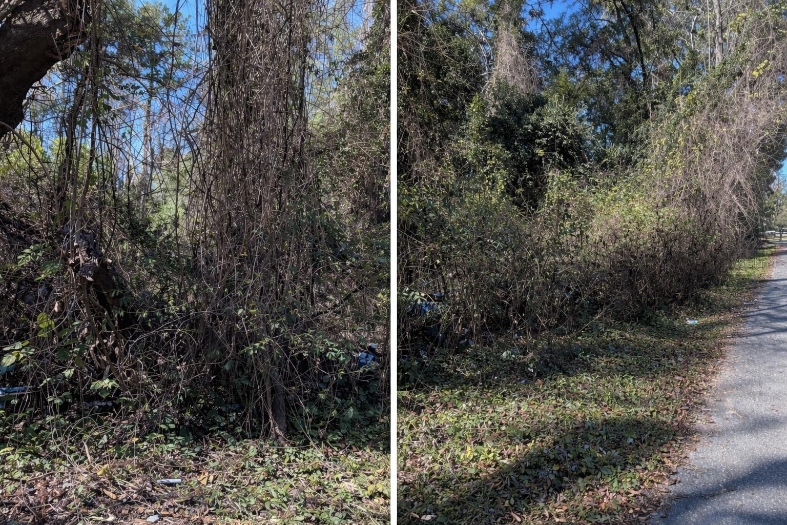 WELLS ADD TO ALACHUA - Land