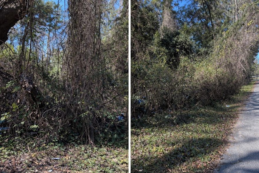 Vacant land ripe for residential development right near downtown Alachua close to Alachua Elementary School. Other new homes are under construction nearby. Two additional tax parcels are part of the listing for a total of approximately 1.1 acres and at least 7 buildable lots. 03276-000-000 and 03276-001-000. Open builder.