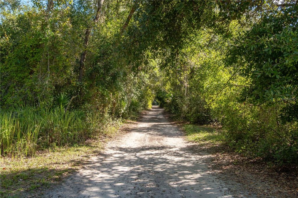 Photo of 6402 E Grantham Court, Hernando, FL 34442 (MLS # OM712754)