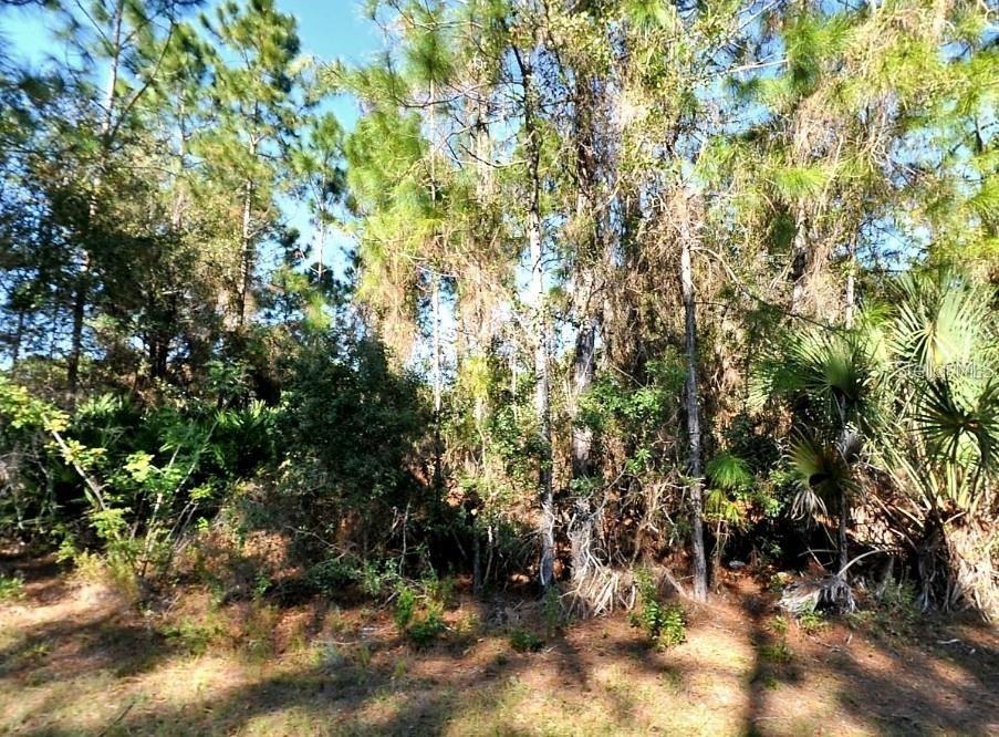 PORT CHARLOTTE SUB 26 - Land