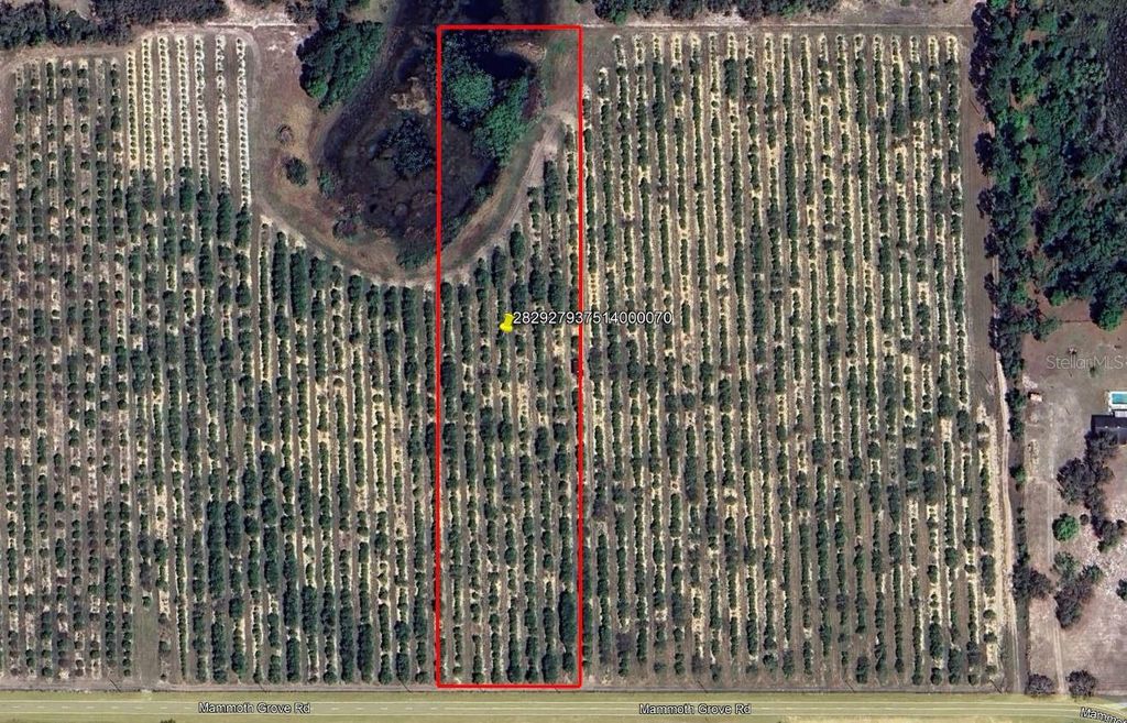 Photo of Mammoth Grove Road, Lake Wales, FL 33898 (MLS # P4935057)