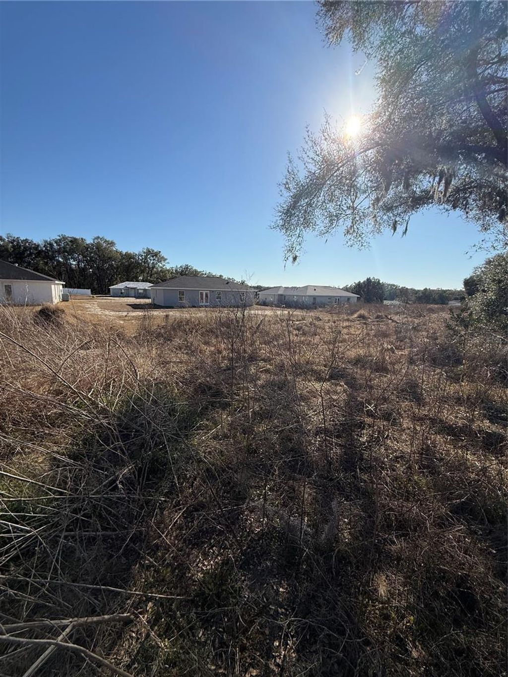 Photo of 4428 E Walker Street, Inverness, FL 34453 (MLS # TB8492532)
