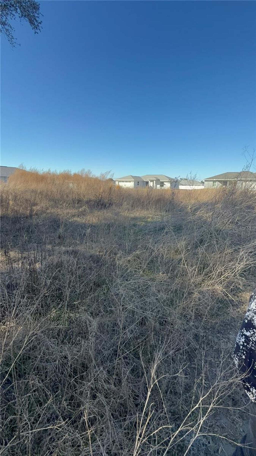 Photo of 4428 E Walker Street, Inverness, FL 34453 (MLS # TB8492532)