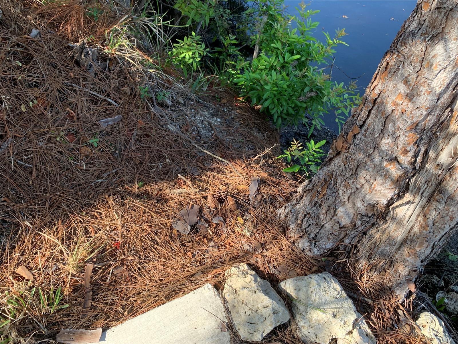 PORT CHARLOTTE SEC 048 - Land