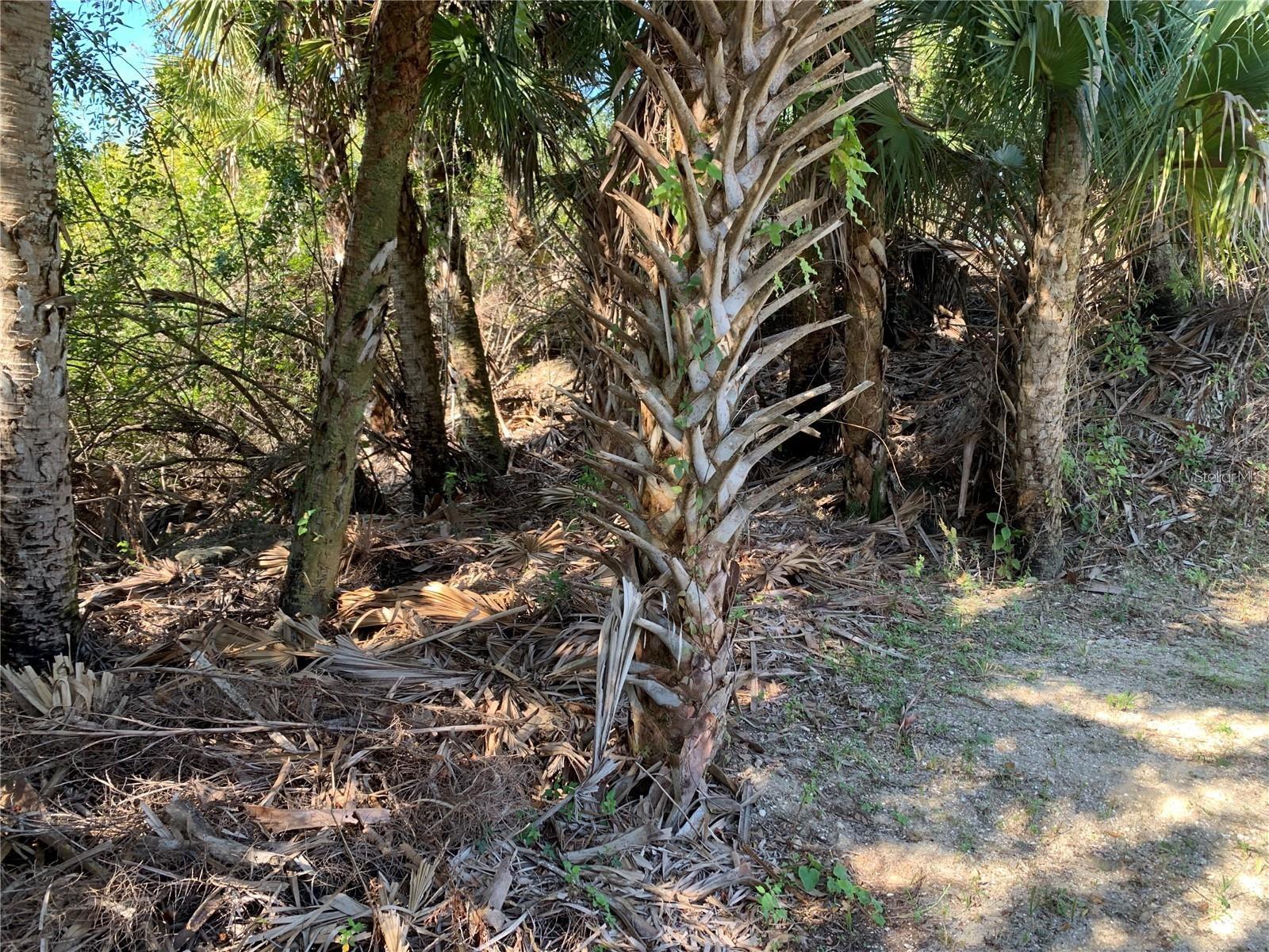 PORT CHARLOTTE SEC 048 - Land