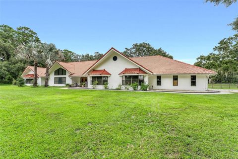 Photo of 553 NE 205th Avenue, Williston, FL 32696 (MLS # OM708565)