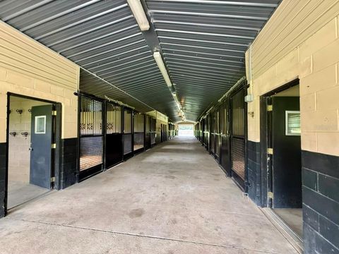 Tiny photo for 553 NE 205th Avenue, Williston, FL 32696 (MLS # OM708565)