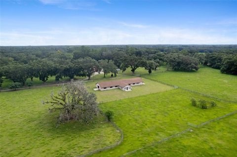 Tiny photo for 553 NE 205th Avenue, Williston, FL 32696 (MLS # OM708565)