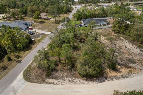 Photo of 12140 Mississippi Kite Avenue, Brooksville, FL 34614 (MLS # W7884611)