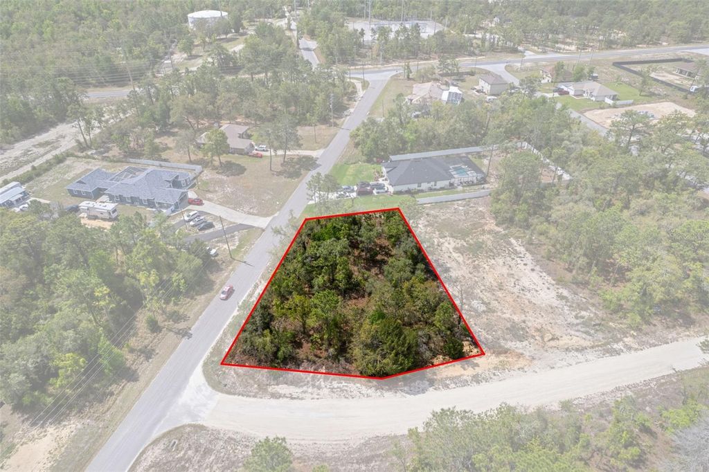 Photo of 12140 Mississippi Kite Avenue, Brooksville, FL 34614 (MLS # W7884611)