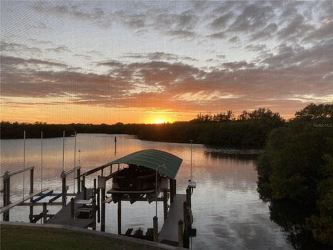 A home in BRADENTON