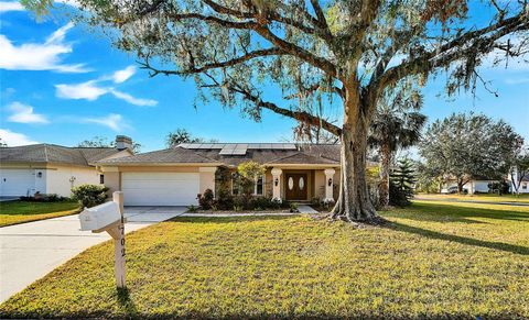 A home in PLANT CITY