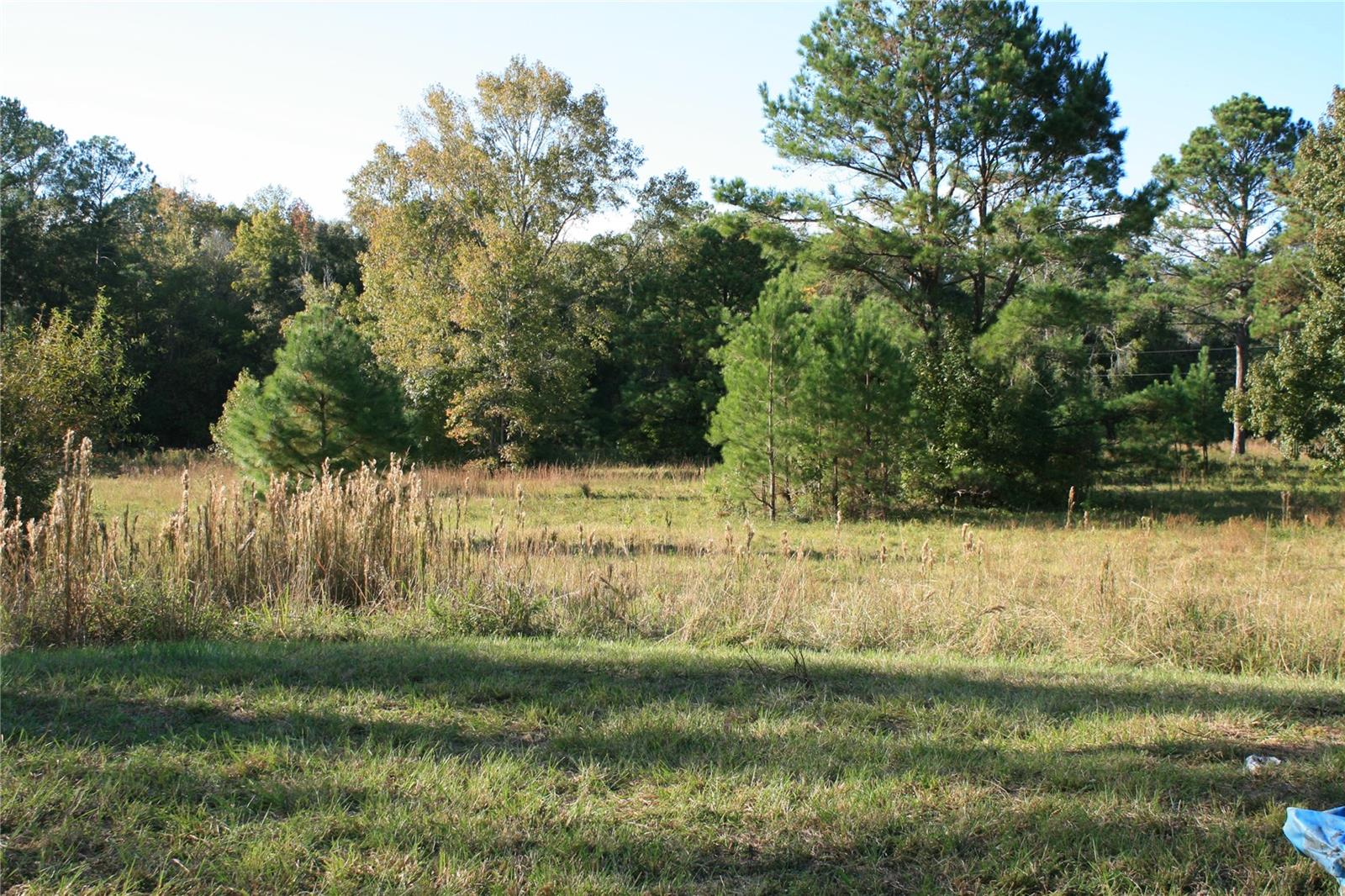 1228 SE US HIGHWAY 301