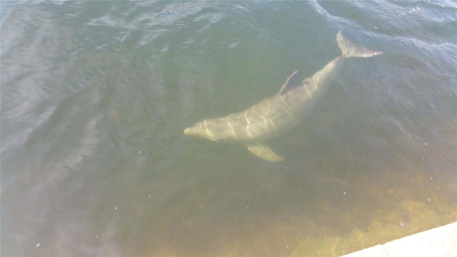 GULF ISLAND BEACH TENNIS - Residential