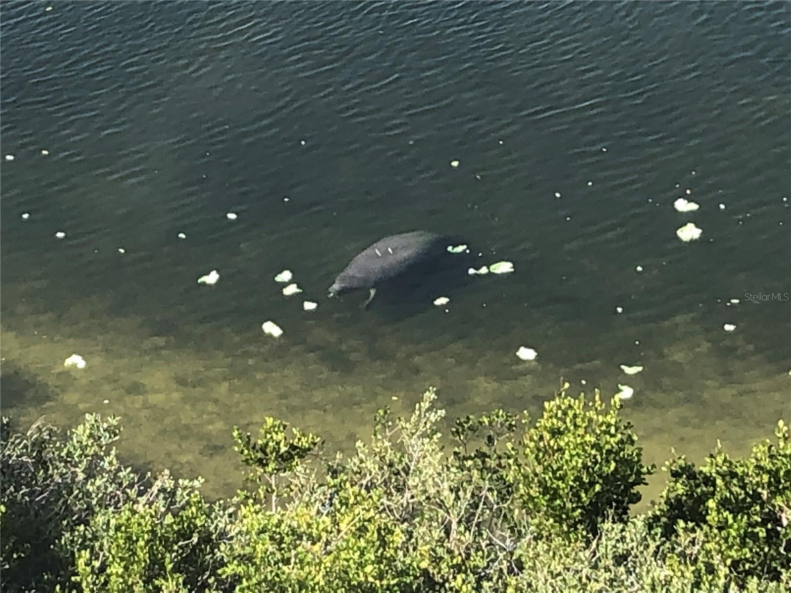 GULF ISLAND BEACH TENNIS - Residential
